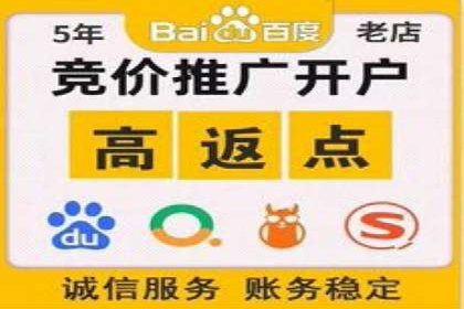 成功案例揭秘：SEM竞价培训在电商行业的运用